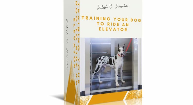 course | How To Take Your Dog Easily in the Lift / Elevator