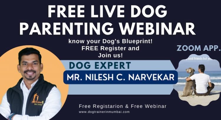course | FREE LIVE DOG PARENTING WEBINAR