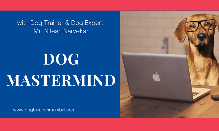 membership | Renew UR Dog Parenting Community Membership 1 Year 99/- Only